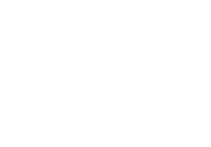 Intuit Dome White