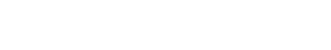 American Airlines White