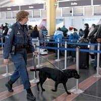 Top 5 Crowd Control Management Techniques in 2020