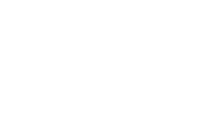 ACE Hardware White